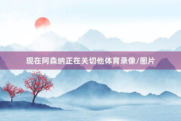 现在阿森纳正在关切他体育录像/图片