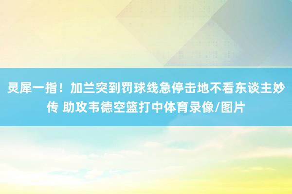 灵犀一指！加兰突到罚球线急停击地不看东谈主妙传 助攻韦德空篮打中体育录像/图片