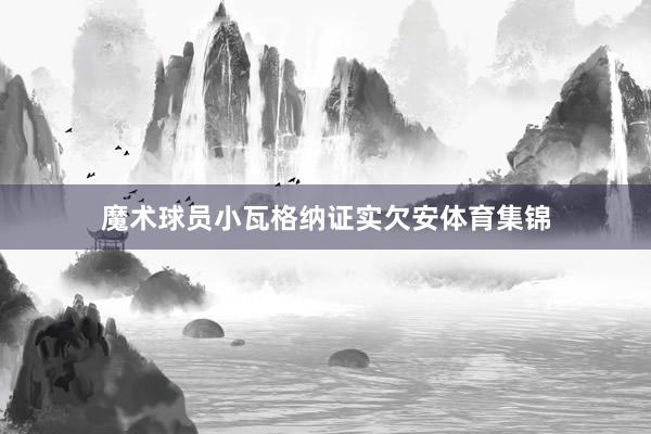 魔术球员小瓦格纳证实欠安体育集锦