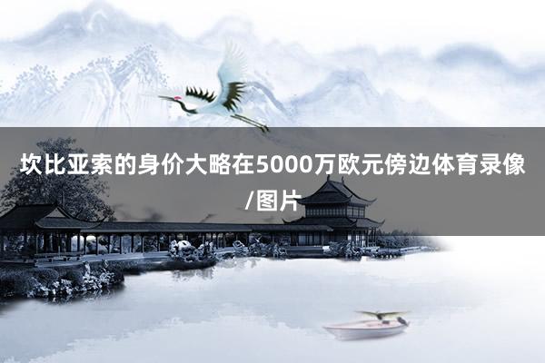 坎比亚索的身价大略在5000万欧元傍边体育录像/图片