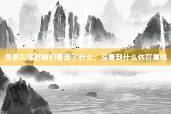 像是在琢磨咱们看到了什么、没看到什么体育集锦