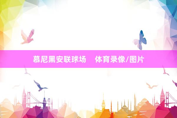 慕尼黑安联球场    体育录像/图片