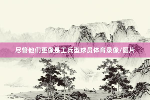 尽管他们更像是工兵型球员体育录像/图片