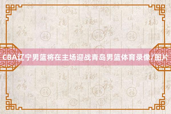 CBA辽宁男篮将在主场迎战青岛男篮体育录像/图片