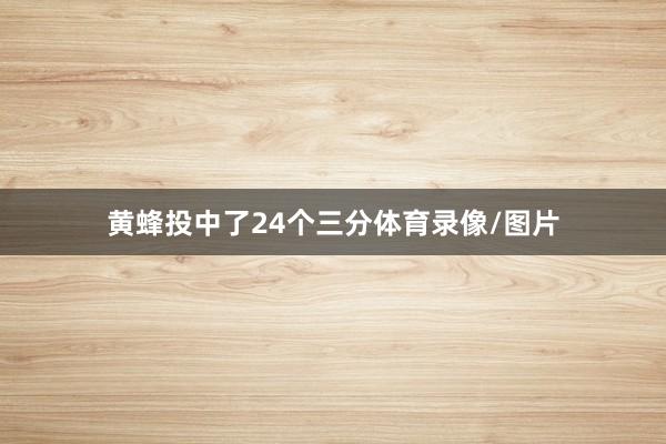 黄蜂投中了24个三分体育录像/图片
