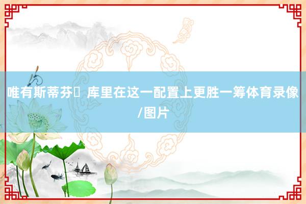 唯有斯蒂芬・库里在这一配置上更胜一筹体育录像/图片
