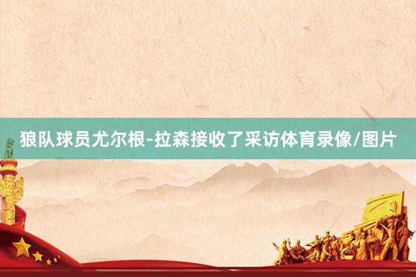 狼队球员尤尔根-拉森接收了采访体育录像/图片