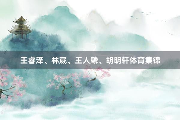 王睿泽、林葳、王人麟、胡明轩体育集锦