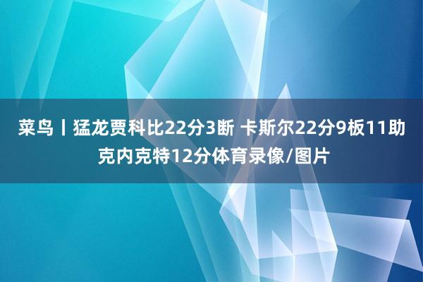 菜鸟丨猛龙贾科比22分3断 卡斯尔22分9板11助 克内克特12分体育录像/图片