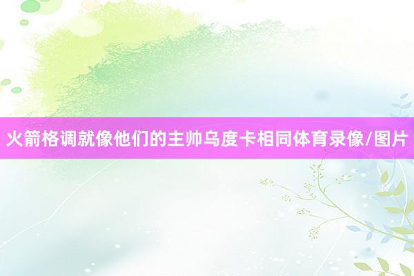 火箭格调就像他们的主帅乌度卡相同体育录像/图片