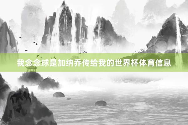 我念念球是加纳乔传给我的世界杯体育信息