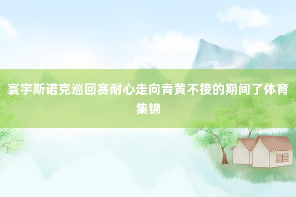 寰宇斯诺克巡回赛耐心走向青黄不接的期间了体育集锦