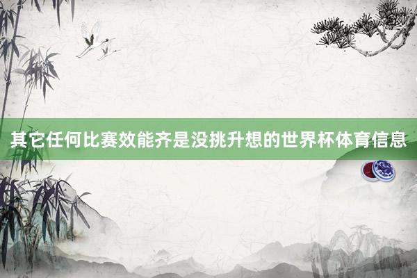 其它任何比赛效能齐是没挑升想的世界杯体育信息