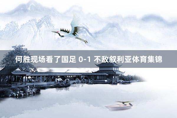 何胜现场看了国足 0-1 不敌叙利亚体育集锦