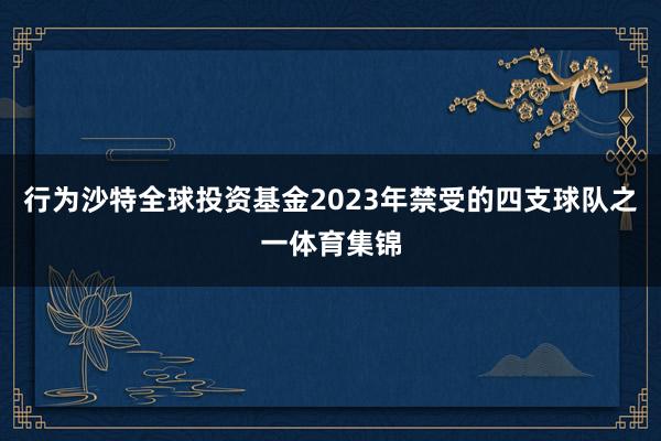 行为沙特全球投资基金2023年禁受的四支球队之一体育集锦