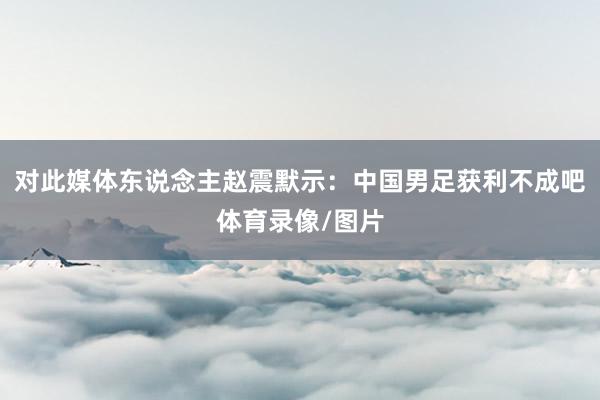 对此媒体东说念主赵震默示：中国男足获利不成吧体育录像/图片