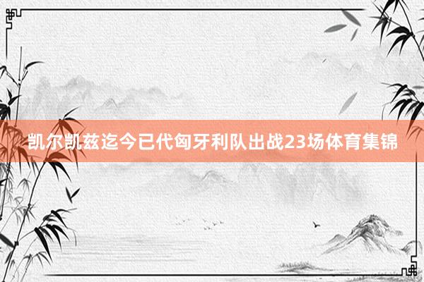 凯尔凯兹迄今已代匈牙利队出战23场体育集锦