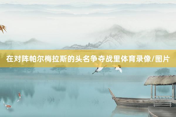 在对阵帕尔梅拉斯的头名争夺战里体育录像/图片