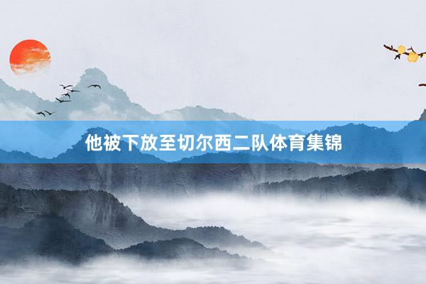 他被下放至切尔西二队体育集锦