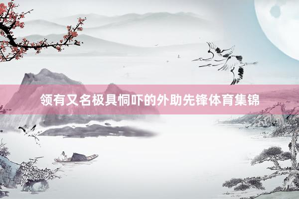 领有又名极具恫吓的外助先锋体育集锦