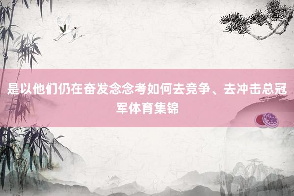 是以他们仍在奋发念念考如何去竞争、去冲击总冠军体育集锦