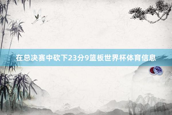 在总决赛中砍下23分9篮板世界杯体育信息
