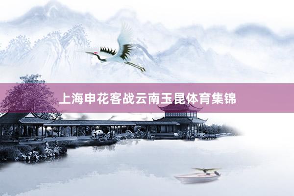 上海申花客战云南玉昆体育集锦