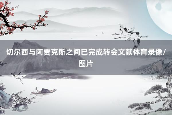 切尔西与阿贾克斯之间已完成转会文献体育录像/图片