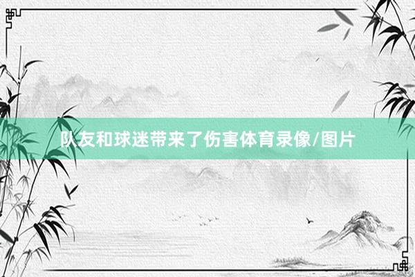 队友和球迷带来了伤害体育录像/图片