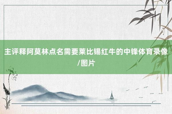 主评释阿莫林点名需要莱比锡红牛的中锋体育录像/图片
