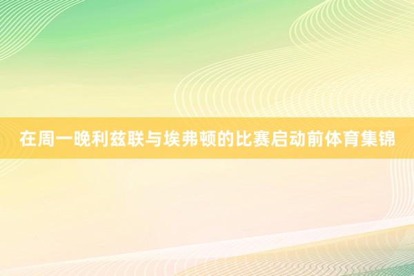 在周一晚利兹联与埃弗顿的比赛启动前体育集锦