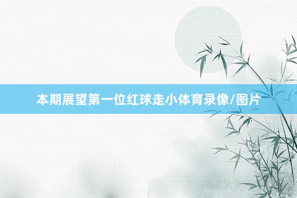 本期展望第一位红球走小体育录像/图片