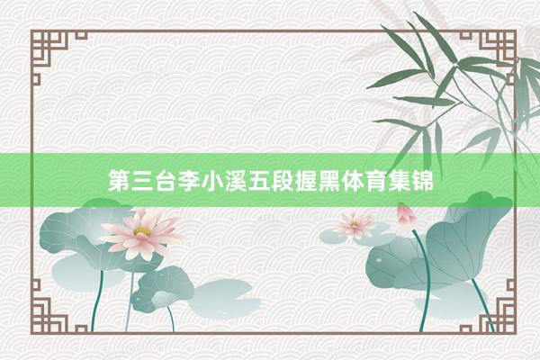 第三台李小溪五段握黑体育集锦