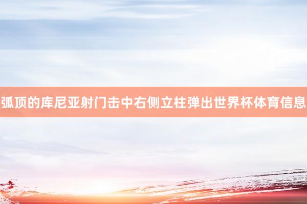 弧顶的库尼亚射门击中右侧立柱弹出世界杯体育信息
