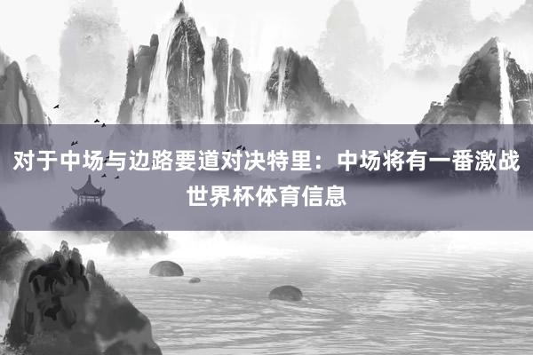 对于中场与边路要道对决特里：中场将有一番激战世界杯体育信息
