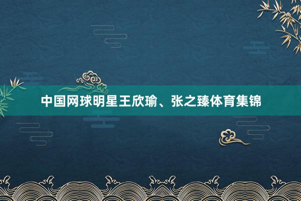 中国网球明星王欣瑜、张之臻体育集锦