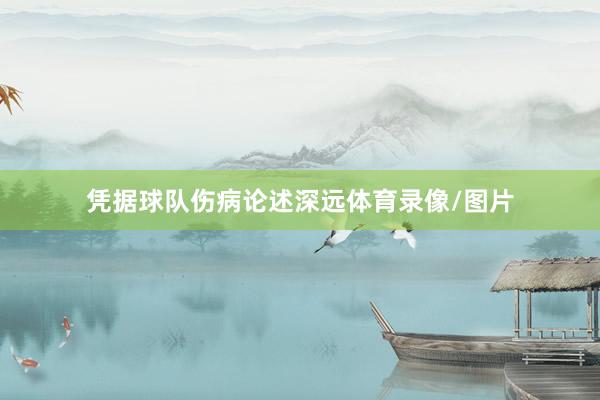 凭据球队伤病论述深远体育录像/图片