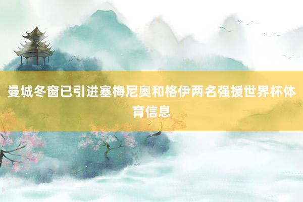 曼城冬窗已引进塞梅尼奥和格伊两名强援世界杯体育信息