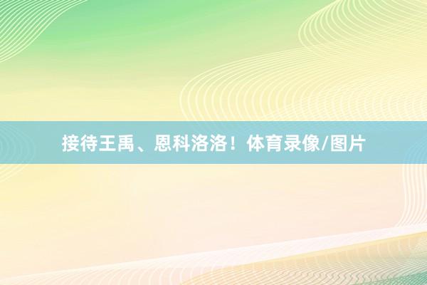 接待王禹、恩科洛洛！体育录像/图片