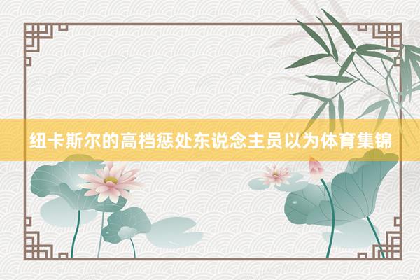 纽卡斯尔的高档惩处东说念主员以为体育集锦