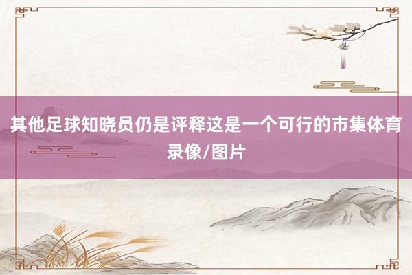 其他足球知晓员仍是评释这是一个可行的市集体育录像/图片