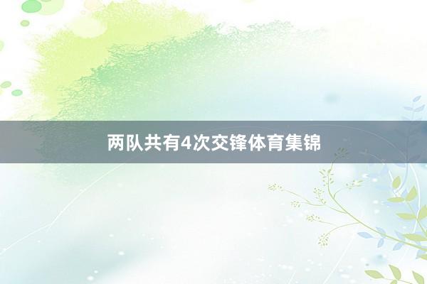 两队共有4次交锋体育集锦