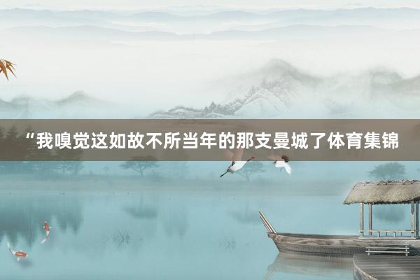 “我嗅觉这如故不所当年的那支曼城了体育集锦
