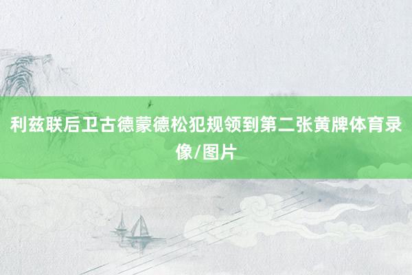 利兹联后卫古德蒙德松犯规领到第二张黄牌体育录像/图片