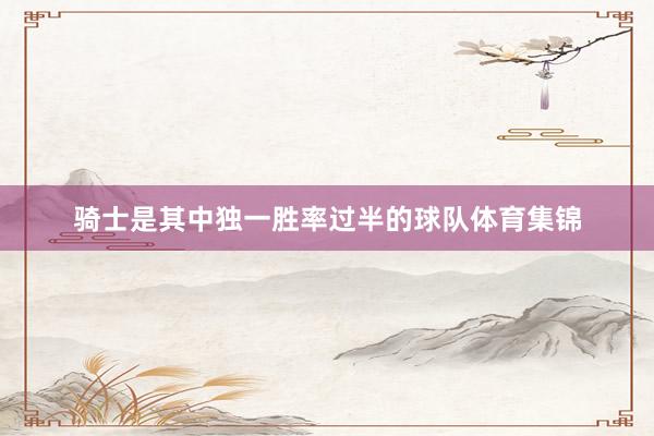 骑士是其中独一胜率过半的球队体育集锦