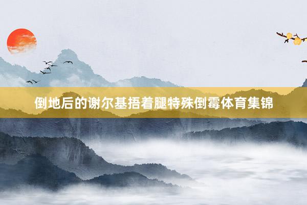 倒地后的谢尔基捂着腿特殊倒霉体育集锦