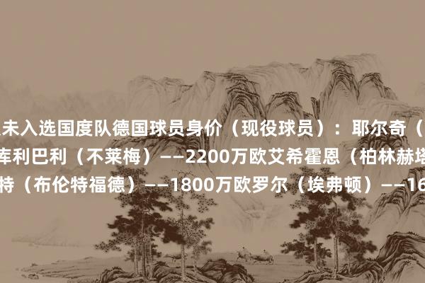 从未入选国度队德国球员身价（现役球员）：耶尔奇（斯图加特）——3000万欧库利巴利（不莱梅）——2200万欧艾希霍恩（柏林赫塔）——2000万欧雅内特（布伦特福德）——1800万欧罗尔（埃弗顿）——1600万欧克瑙夫（法兰克福）——1500万欧兰姆佩尔（霍芬海姆）——1500万欧沙博特（斯图加特）——1500万欧库恩（科莫）——1500万欧特雷索尔迪（布鲁日）——1300万欧    体育集锦