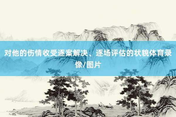 对他的伤情收受逐案解决、逐场评估的状貌体育录像/图片