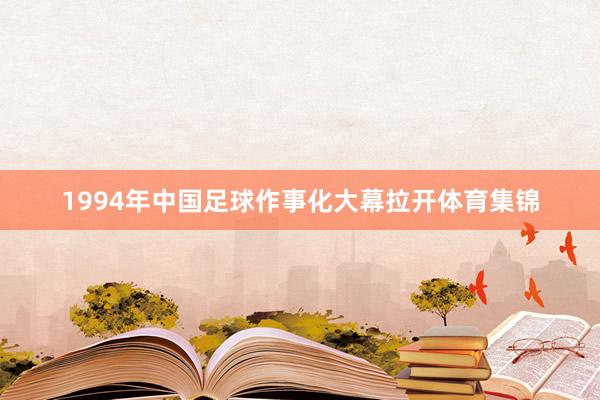 1994年中国足球作事化大幕拉开体育集锦