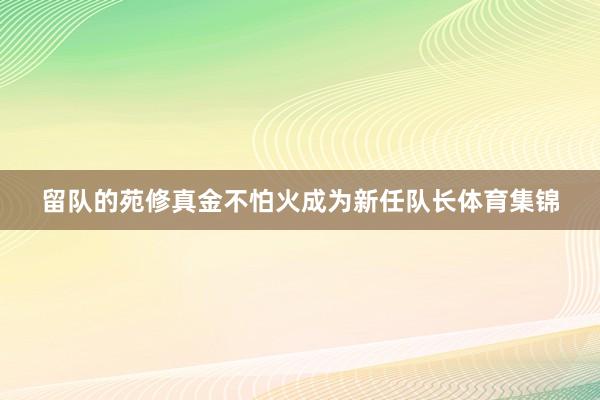 留队的苑修真金不怕火成为新任队长体育集锦